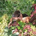 img_1863_24233.jpg
