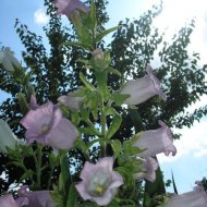 img_1914_24559.jpg