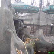 img_1950_24827.jpg