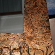 img_1970_25564.jpg