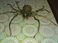 060620111115.jpg