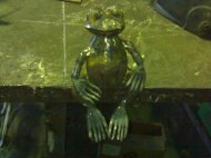 090920111394.jpg