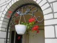 IMG_0435.jpg