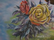 IMG_4277.jpg