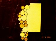 DSC00054.JPG