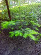 IMG_20150521_192348.jpg