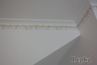 Lepka00002.jpg