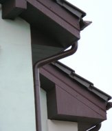 IMG_7981.JPG