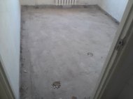 20160208_121152.jpg