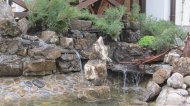 IMG_5974.JPG