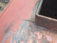 DSCN5516.JPG