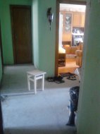 IMG_20150701_154652.jpg