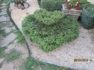 IMG_1815.JPG