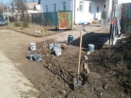 20170309_104529.jpg