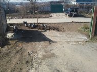 20170309_104600.jpg