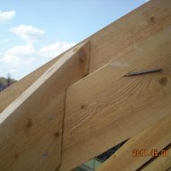img_2707_2401.jpg