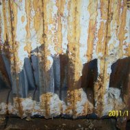 img_3133_33963.jpg