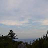 img_3163_24559.jpg