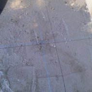 img_3320_26812.jpg