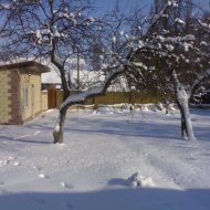 img_3479_6909.jpg