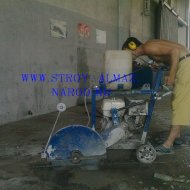 img_3781_34097.jpg