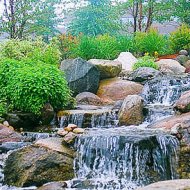 img_3802_40182.jpg