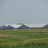img_4002_27962.jpg