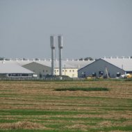 img_4003_27962.jpg