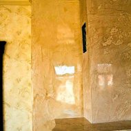 img_5510_48016.jpg