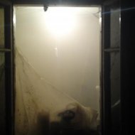 img_5738_10234.jpg