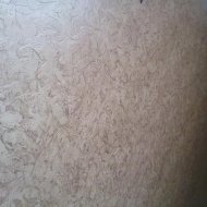 img_5919_48847.jpg