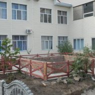 img_6013_37599.jpg