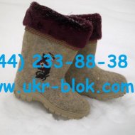img_6023_49544.jpg