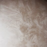 DSC_0005.jpg