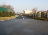 DSC08216.JPG
