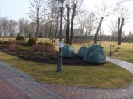 DSC08218.JPG