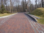 DSC08221.JPG