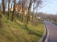 DSC08224.JPG