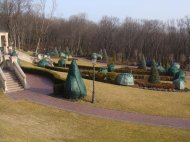 DSC08232.JPG