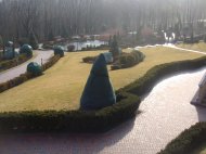 DSC08239.JPG