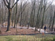 DSC08248.JPG