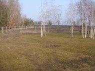DSC08261.JPG