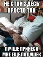 1375864175_409427971.jpeg
