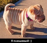 4UD2FrPULww.jpg
