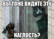 -6oEEFYLafE.jpg