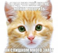 586.jpg