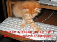 1228163569_9710d3d4ed35a352c22aaf12988735cb_full.jpg