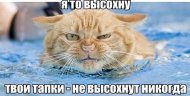 c7aTJ7T7Umo.jpg