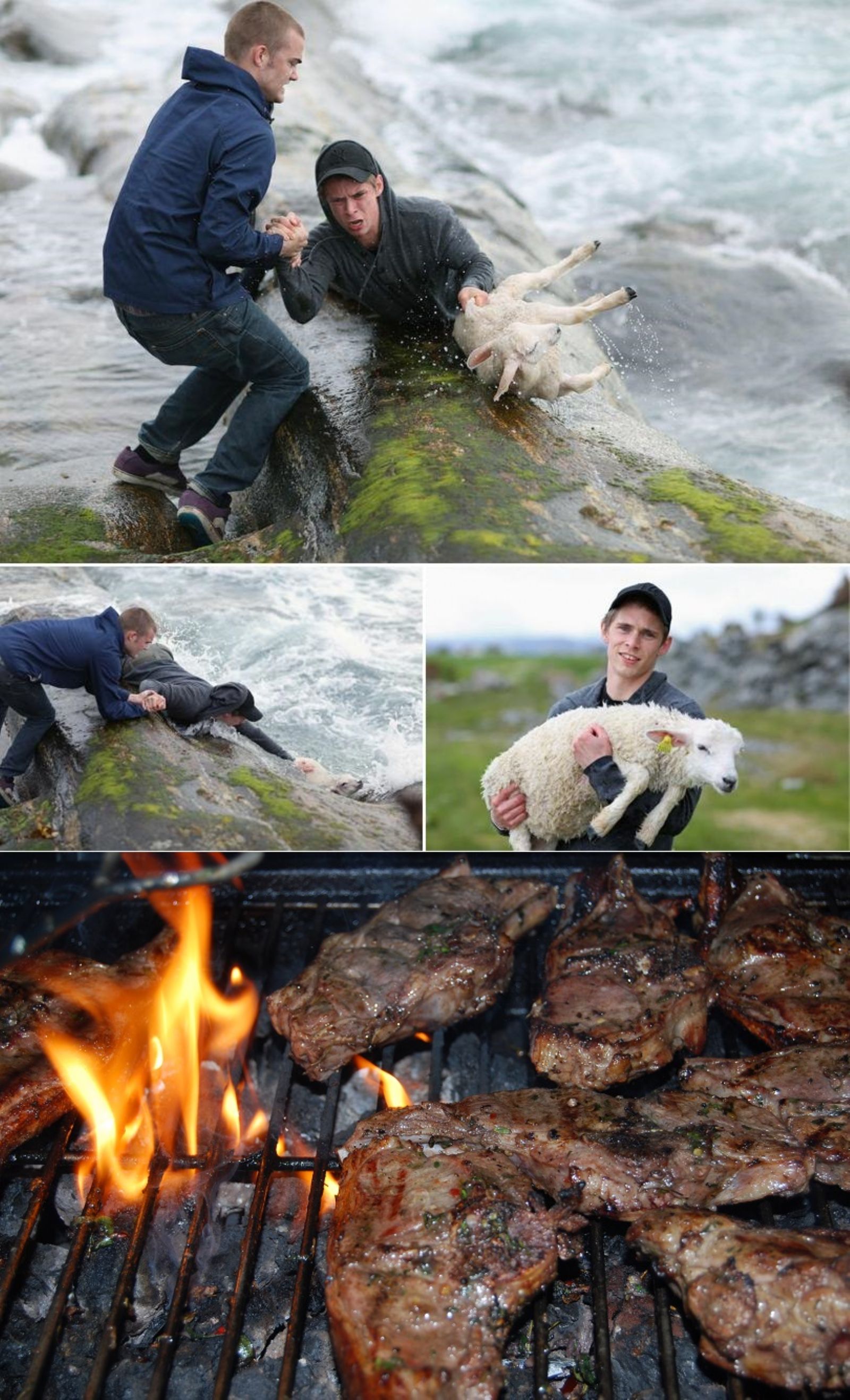[​IMG]